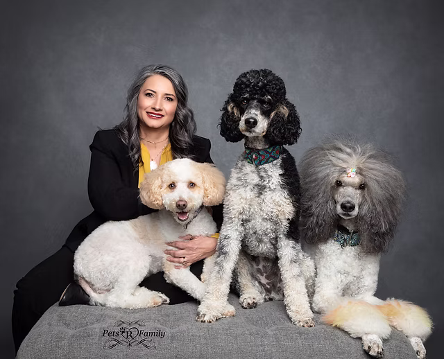 Femme posant avec trois chiens lors d'une séance photo professionnelle